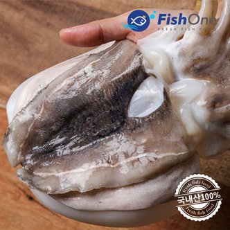 피시원 국내산 손질갑오징어(대) 3kg(11-13마리)급냉