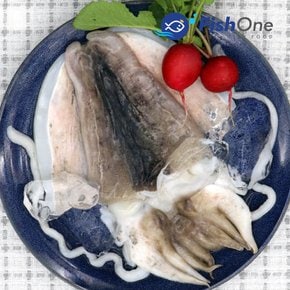 국내산 손질갑오징어(대) 3kg(11-13마리)급냉