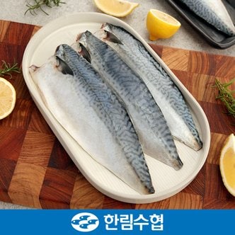 한림수협 [제주 한림수협] 제주직송 제주 순살 고등어 10팩(1팩당 120g) / 냉동