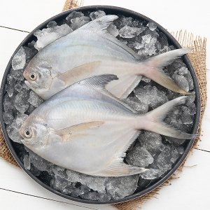 자연맛남 [산지직송] 여수 병어 실속형 10팩 (1팩당 2-3미 250g)