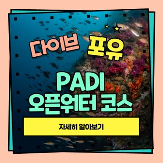  [다이브포유] 전국 동일 가격 PADI 5 STAR IDC CENTER 오픈워터 코스 (골드카드 발급)