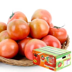 [농협공판장] 정성드린 찰토마토 5kg(3-4번과)