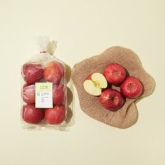 저탄소 알뜰사과(부사) 5~6입(1kg)/봉