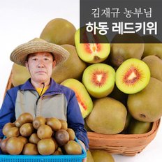 하동 맛있는 GAP 인증 레드키위 5kg (51-60개)