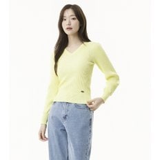 골지 브이넥 슬림핏 니트 (PR2KL301)
