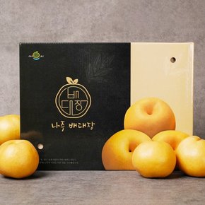 명품 나주배 대과 5kg (5-7과) 선물세트