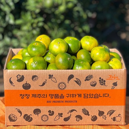 상품이미지1