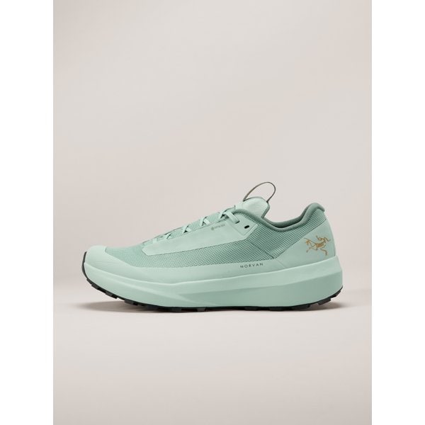 [시흥점] [공식판매처] SS25 노반 LD 4 GTX 남성 Norvan LD 4 GTX Shoe (AFPSM09612)