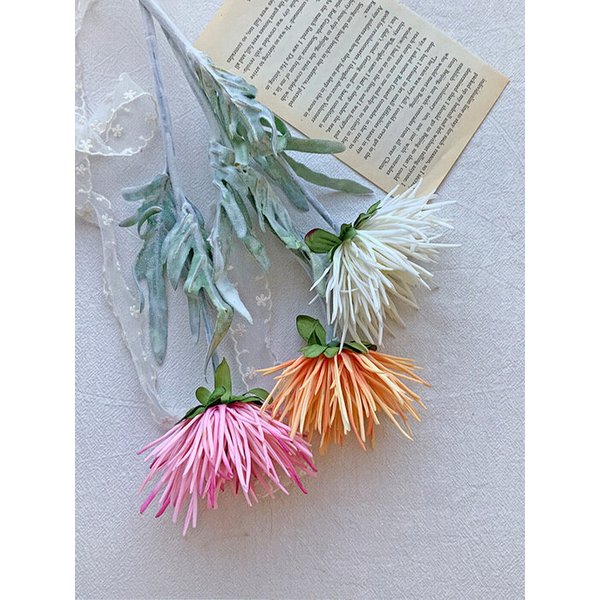 파스타 국화 감성 조화