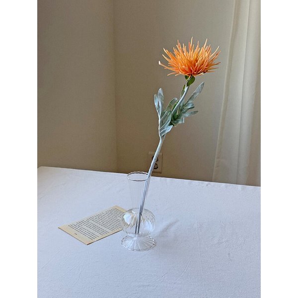 파스타 국화 감성 조화