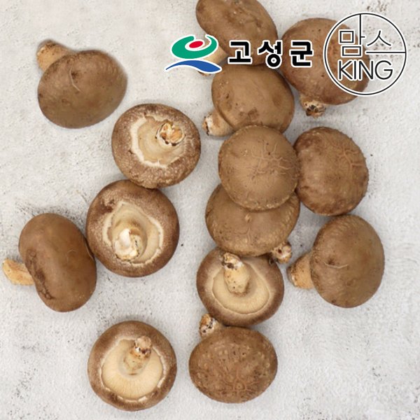 확대된 대표 대표이미지