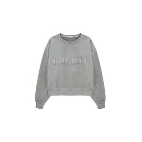 Heavy Pigment Lettering Sweatshirt - gray