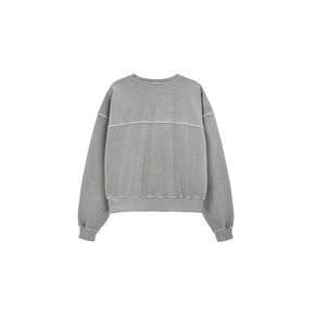 Heavy Pigment Lettering Sweatshirt - gray