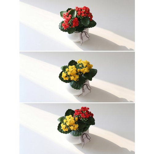 Add Image 1