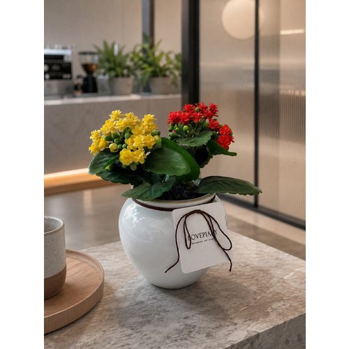 Add Image 6
