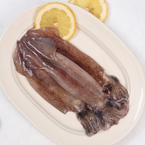 [강영수산] 자연산 통찜용 한치 500g 내외 (7-13미) x1팩