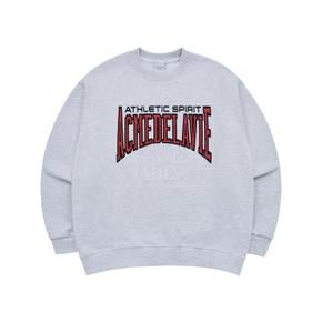 VARSITY LOGO EMBOSSING NEEDLEWORK SWEATSHIRT MELANGE 바시티로고맨투맨 멜란지 SWVLEN-MEL