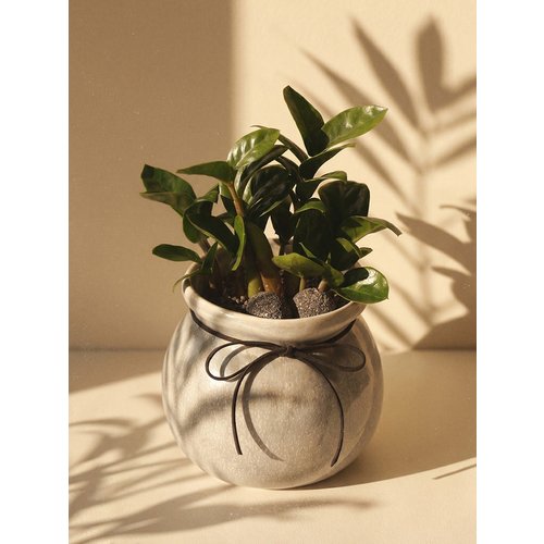 Add Image 1