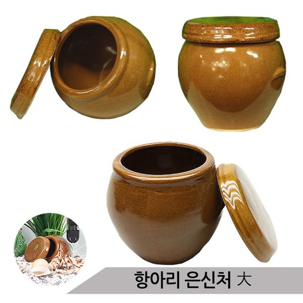확대된 대표 대표이미지
