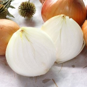 속이 꽉찬 햇 양파 3kg (특품/반찬용)