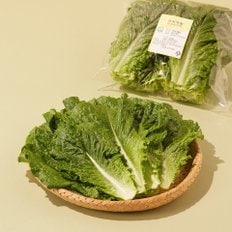  친환경 로메인 250g