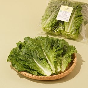 친환경 로메인 250g