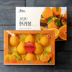현가원 서귀포 한라봉 5kg (11-16과, 실중량)