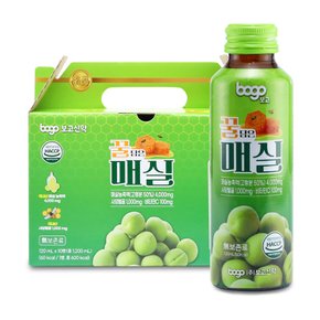 [보고] 꿀담은 매실 120mlx10병 선물용