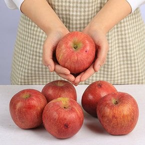 가정용 알뜰 흠집 꿀 사과 2kg 사이즈랜덤 과일연가