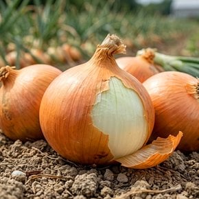 국내산 양파 3kg 소 [100g이하/장아찌용]