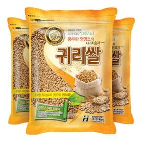 수입 귀리 1.8kg (600gx3봉)[36102212]