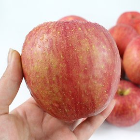 [경상북도][산지직송] 과즙 가득 경북 의성 사과(꼬마) 2.5kg