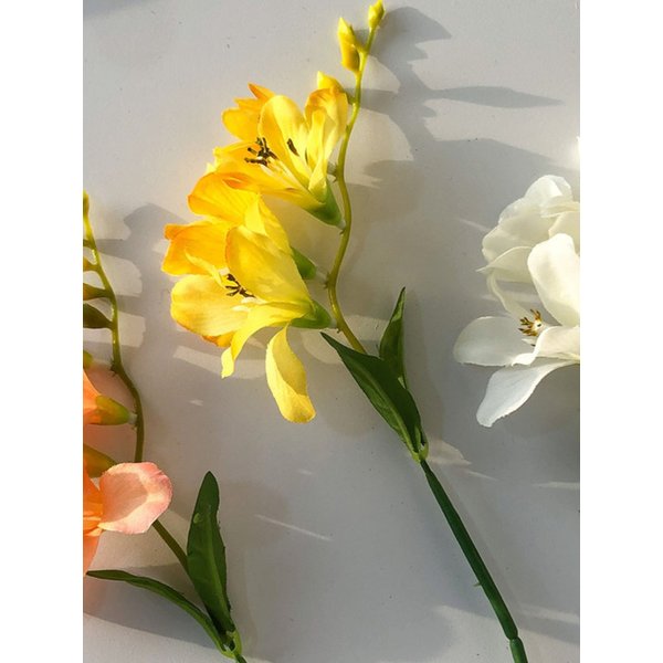 프리지아 조화 3color