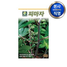 피마자 씨앗 (쯔비마) 30립 . 야채 채소 텃밭 파종 재배 주말 농장 씨 종자