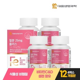 대웅생명과학 철분 25mg 플러스 90정 4박스 12개월분 / 임산부 고함량 비헴철 비타민C 비타민D