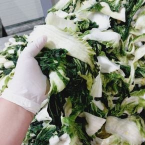 부드럽게 삶은 배추우거지 1kg 1팩[32762818]
