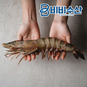 비비수산 프리미엄 킹타이거새우 1kg 4미