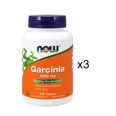 나우푸드 가르시니아 1000mg 120ctx3병 Garcinia 1435