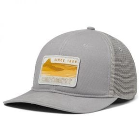 4281734 Carhartt Canvas Mountain Patch Cap 72511693