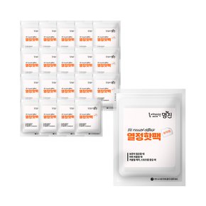 열정 파스형 붙이는 핫팩 45g x 20개