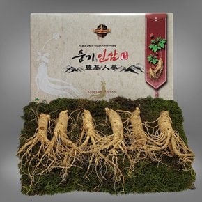 5년근 수삼 1채 500g (6-7뿌리)