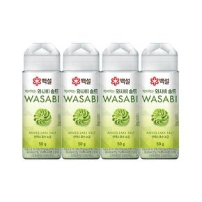 백설 와사비 디핑 솔트 50g x4개