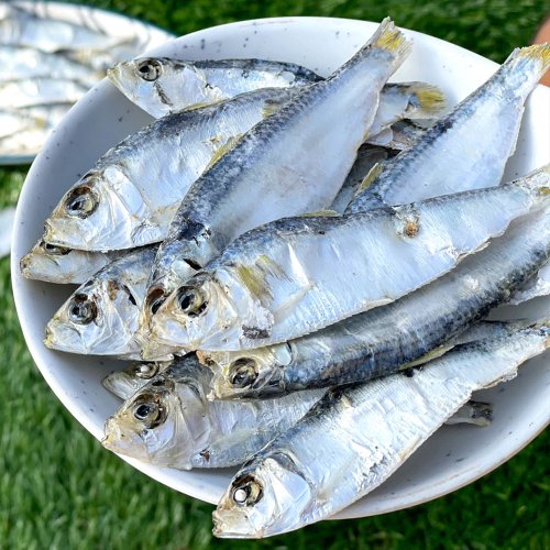 상급 국산 디포리 300g 육수용멸치 건디포리 다시멸치