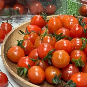 레드 스윗마토 스테비아 대추방울 토마토 2kg (500g x 4)