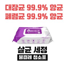 꼼꼼한생활 세정 살균 물걸레 청소포 바닥청소포 항균 청소티슈 대형 30매 10팩