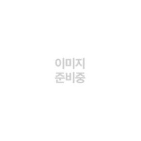 배드 레이디 3