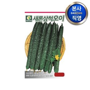 새론삼척 오이 씨앗 100g . 채소 야채 텃밭 파종 재배 주말 농장 씨 종자