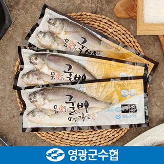 영광군수협 [냉동][영광군수협]법성포 영광 진공 굴비 세트 2.1kg(30미) / 700g*3팩