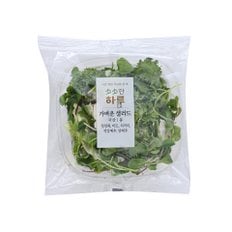 하루채소 가벼운 샐러드 (80g)