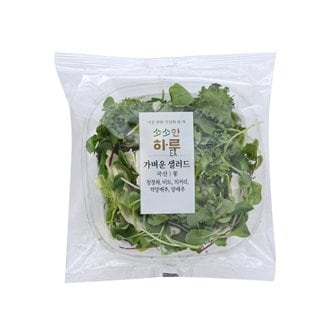  하루채소 가벼운 샐러드 (80g)